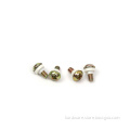 /msite/products/detail/productid/61482641/id/1337272.html